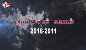 آمار شهدا، بازداشت شدگان و سلب تابعیت شدگان بحرینی پس از انقلاب 14 فوریه