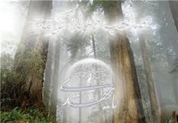 چه مؤمنانی در آخرالزمان از دین مرتد می‌شوند؟