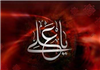 جایگاه حضرت علی علیه السلام در روز قیامت