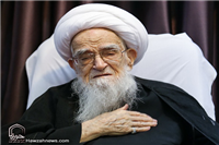 شعری از آیت الله العظمی صافی به مناسبت اربعین