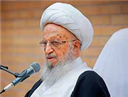 برخی از استاندارد «حلال» سوء استفاده می کنند