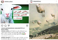 درخت کاری یا ذبح قربانی؛ آیا برای ذبح قربانی جایگزینی وجود دارد