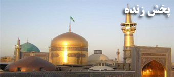 پخش زنده حرم امام علی (ع)