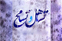 نقد وارده؛ مصافحه با نامحرم چه ارتباطی با مصالح بین المللی دارد